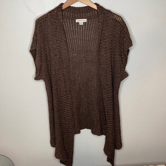 Coldwater Creek Brown short sleeve sweater Large - Picture 1 of 7